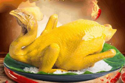 四川鹽焗雞技術(shù)培訓(xùn)學(xué)校那里正宗？鹽焗雞的選材處理