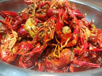 麻辣小龍蝦的技術(shù)做法在哪里比較好？