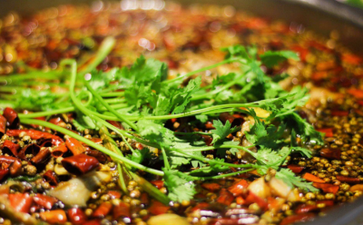 成都美蛙魚培訓(xùn)那家好？