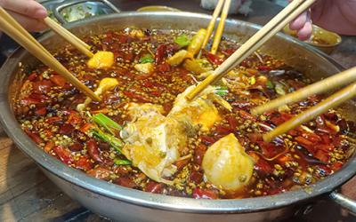 成都火鍋美蛙魚哪里教學好？學習美蛙魚要多久