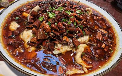 成都涼拌菜培訓如何選擇？學習涼菜技術哪里好