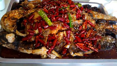 成都烤魚技術(shù)培訓(xùn)學(xué)校排名,學(xué)習(xí)烤魚技術(shù)培訓(xùn)學(xué)費？