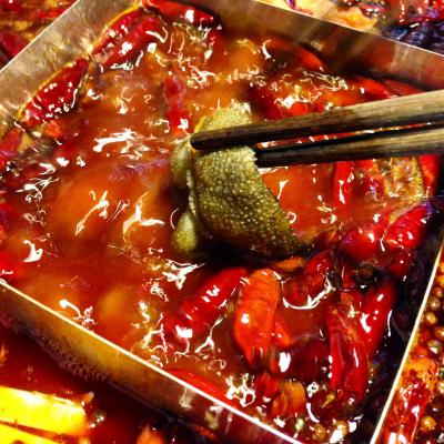 成都火鍋培訓(xùn)多少錢？ 成都火鍋培訓(xùn)多少錢？