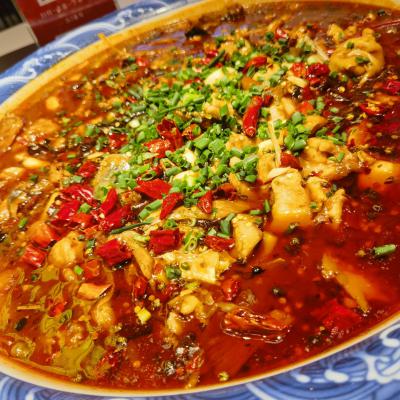 重慶來鳳魚培訓(xùn)學(xué)校哪家好？深度解析蜀味緣為何備受青睞